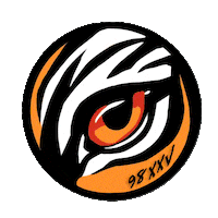 Princetonalumni Sticker by Princeton University