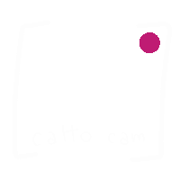 Cat Fun Sticker