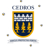 Gobears GIF by Cedros