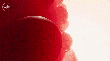 Episode 5 Dalek GIF by Doctor Who