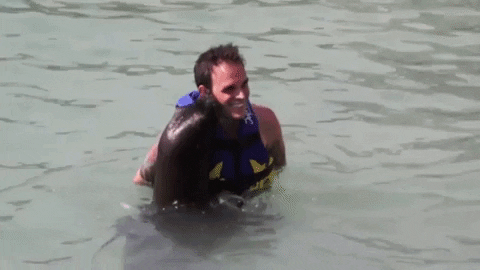 sea lion mexico GIF by Dolphin Discovery