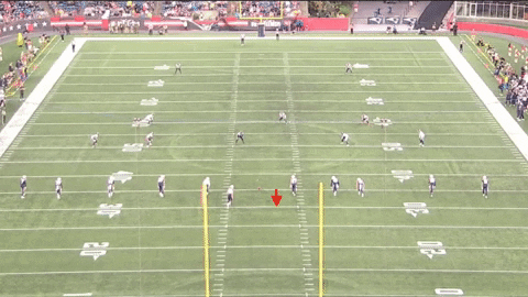 hinesbm giphyupload GIF