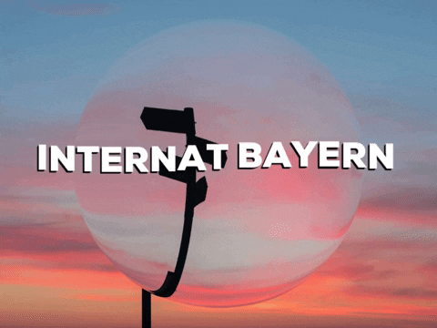 School Lol GIF by PrivatschulenPORTAL.de