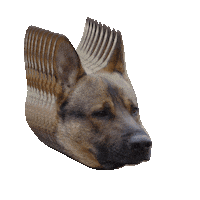 Dog Sticker by julia farkas
