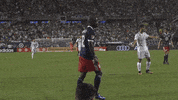 major league soccer no GIF by Houston Dynamo