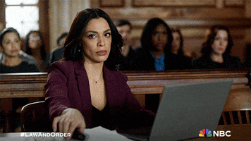 Stop It GIF by Law & Order