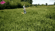 happy shiba inu GIF by Hyper RPG