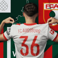 Football Bundesliga GIF by FC Augsburg 1907