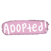 Animal Rescue Sticker