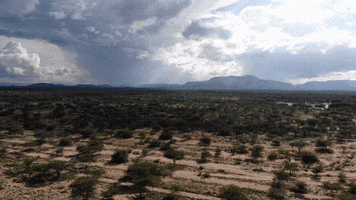 Environment Plague GIF by The Guardian