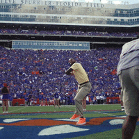floridagators FloridaGators mrtwobits GIF
