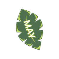 May Palm Leaf Sticker by vitaveg eco packaging