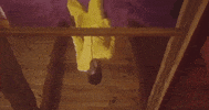 happy dance GIF