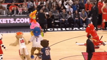 benny the bull nba GIF by Chicago Bulls
