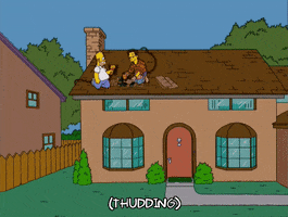 homer simpson ray magini GIF