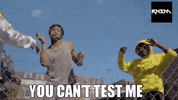 Dont Try It The Best GIF by RNSM