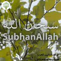 Middle East Wow GIF by VeganArabs