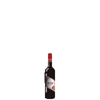 RonColonSalvadoreno alcohol cocktails rum bartender Sticker