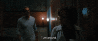Turn Around Lowpursuit GIF