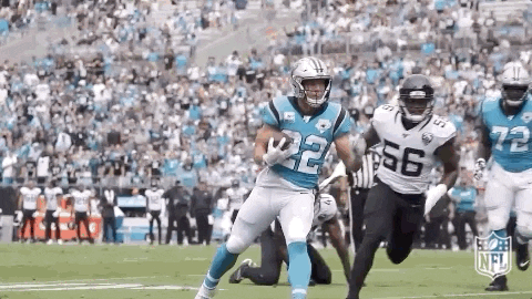 Carolina Panthers Football GIF by NFL