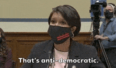 Statehood GIF by GIPHY News