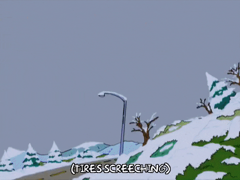 homer simpson car GIF