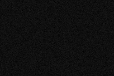 Ivanonatale Thyg GIF by Thy Gallery Tattoo