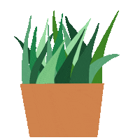kamrynbrownlee happy summer green plant Sticker