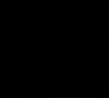 Brawl Stars GIF