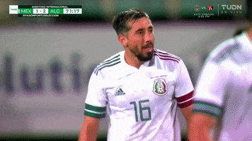 Futbol Mexicano Football GIF by MiSelecciónMX