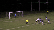 LafayetteLeopards save lafayette leopards mens soccer GIF
