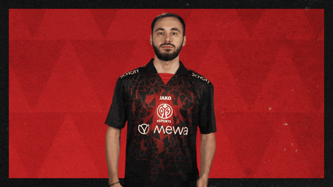 Mainz 05 Football GIF by Bundesliga