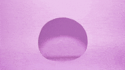 High Five Animation GIF by linastopmotion