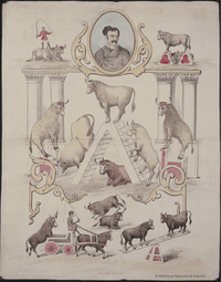 bulls toros GIF by Biblioteca Nacional de España