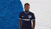 Bundesliga Berlin GIF by Hertha BSC
