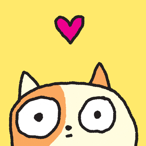 Cat Love GIF by Travis Foster