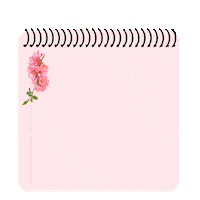 Box Bloco Sticker