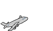 Travel Flying Sticker by COREY PAIGE DESIGNS