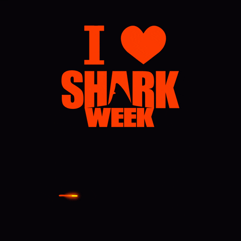 Heart Love GIF by Shark Week