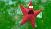 spongebob squarepants patrick starr GIF