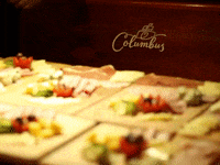 GIF by Dolphin Discovery