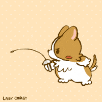 Welsh Corgi Sport GIF by Lazy Corgi
