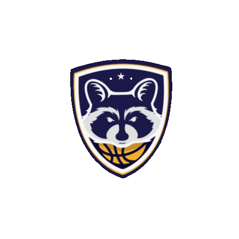 Sticker by Basquete Paraná - FPRB