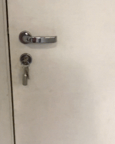 News Sebrae - Edição 65 - GIF de cachorro fantasiado de fantasma, recebendo petiscos de Halloween.