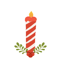 Happy Birthday Christmas Sticker by Demic
