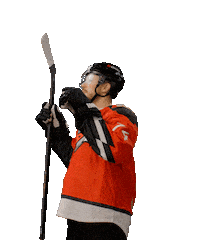 Hockey Hawk Sticker by Avangard