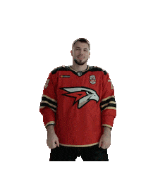 Goal Love Sticker by Avangard