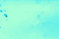 marbling GIF by Caitlin Burns