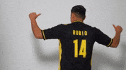 South Carolina Soccer GIF by Charleston Battery