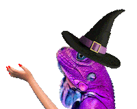 Halloween Magic Sticker by ShutterstockContributors